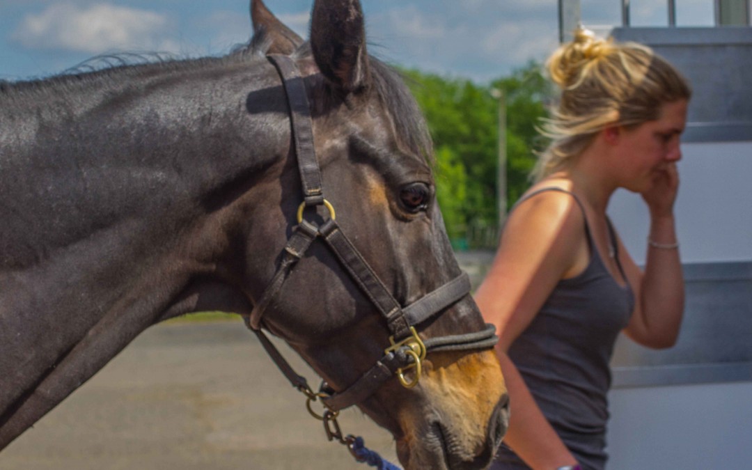 Claire Loading Horse